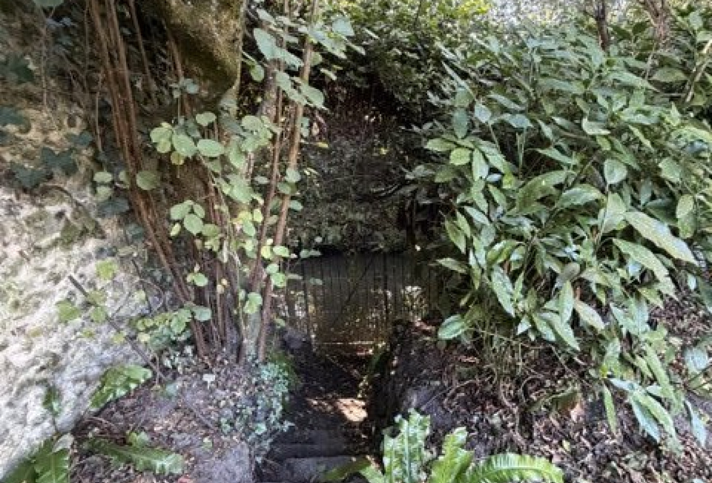 vente Maison Saint Cyr Sous Dourdan - Photo 4