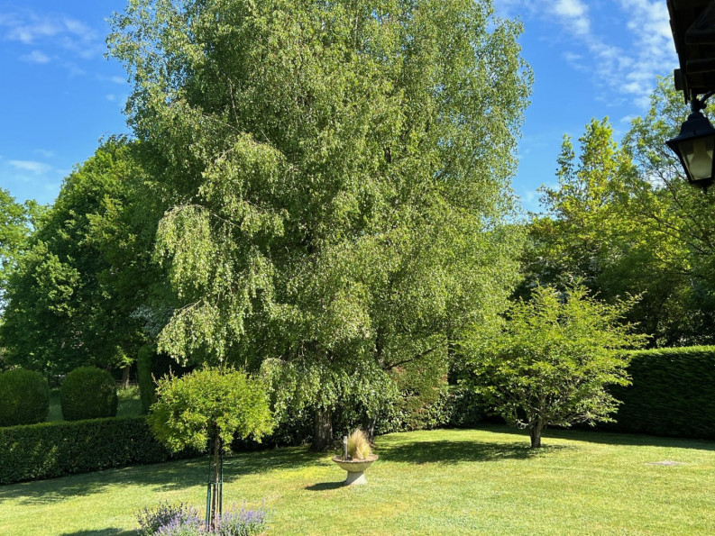 vente Maison individuelle Mortagne Au Perche - Photo 11