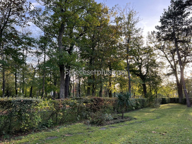 vente Appartement en résidence Maisons Laffitte - Photo 1
