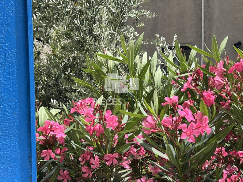 vente Maison Colombes - Photo 3