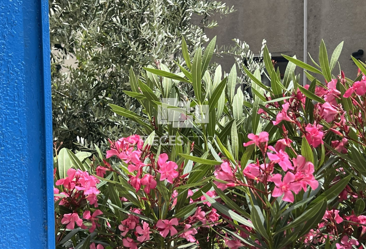 vente Maison Colombes - Photo 3