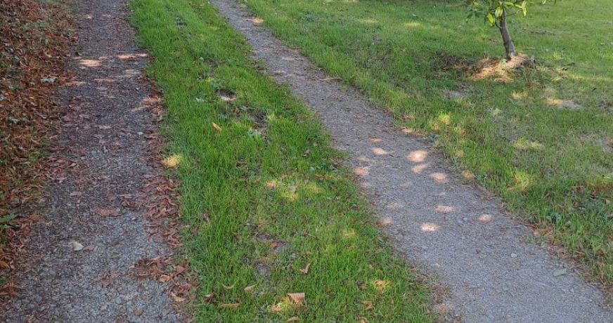 vente Longere Remalard En Perche