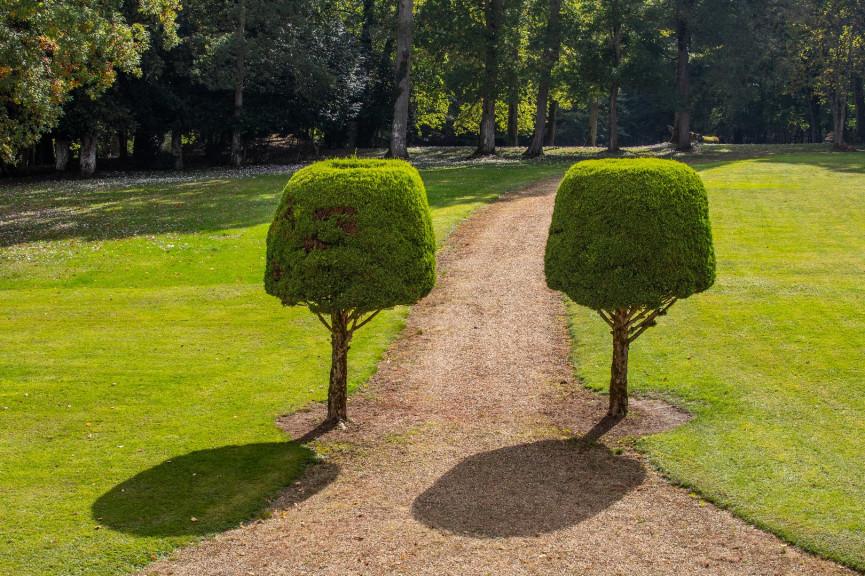 vente Maison de maître Tours - Photo 13