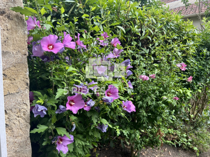 vente Maison Suresnes - Photo 1