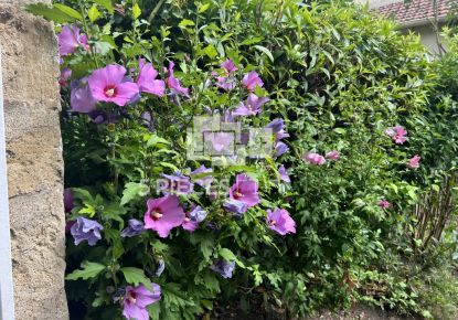 vente Maison Suresnes