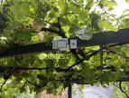 vente Maison Suresnes