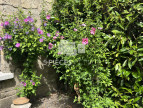 vente Maison Suresnes