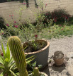 vente Appartement Bois Colombes