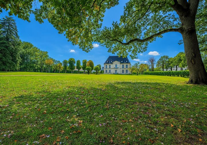 vente Maison de maître Tours