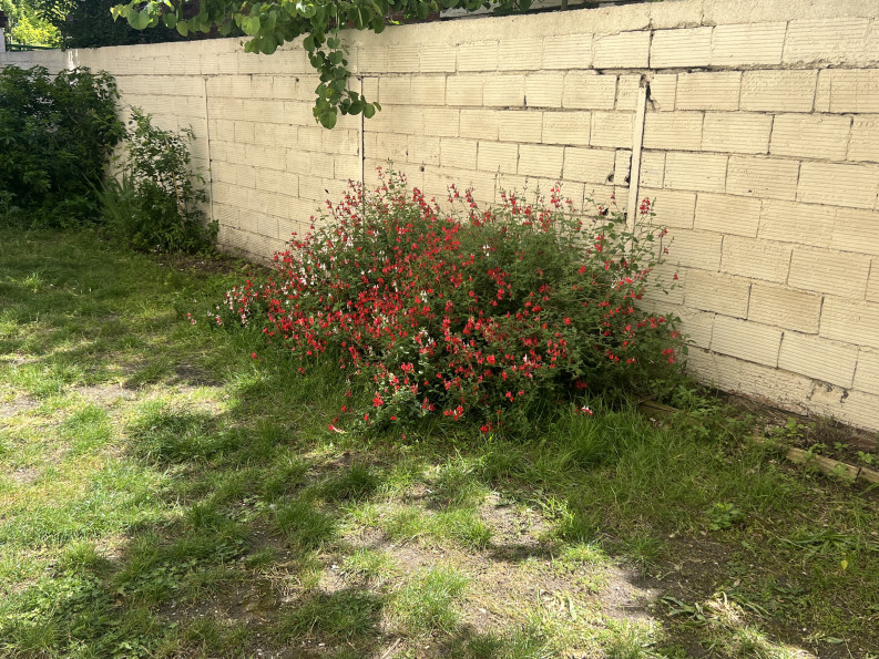 vente Appartement Bois Colombes - Photo 13