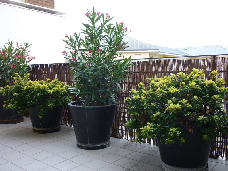 vente Appartement Suresnes - Photo 8