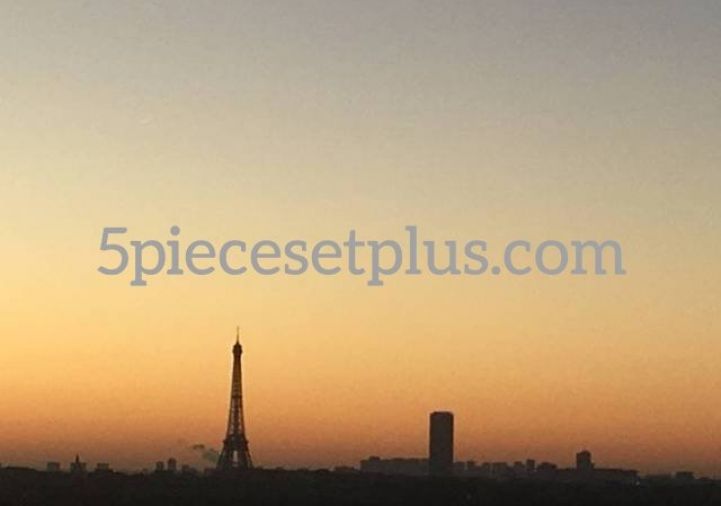 vente Appartement terrasse Puteaux