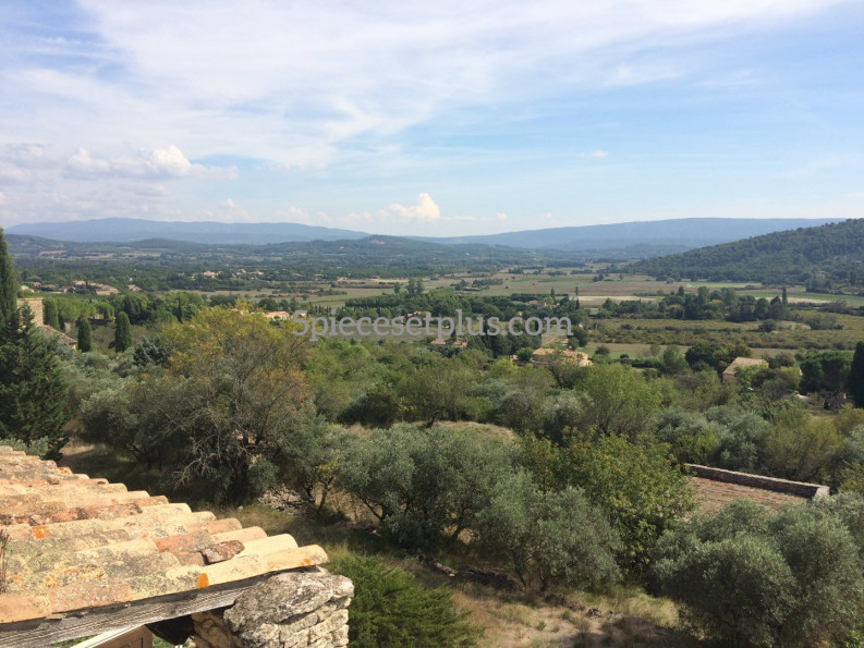 vente Maison Gordes - Photo 1