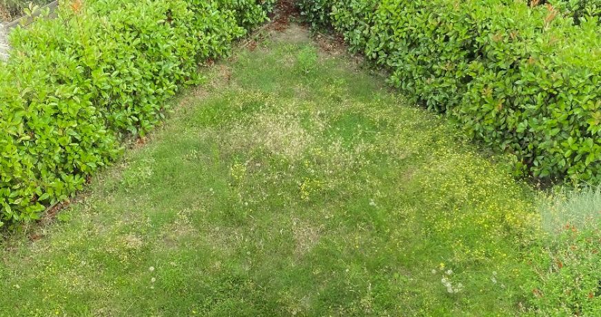 location Appartement Sainte Foy D'aigrefeuille