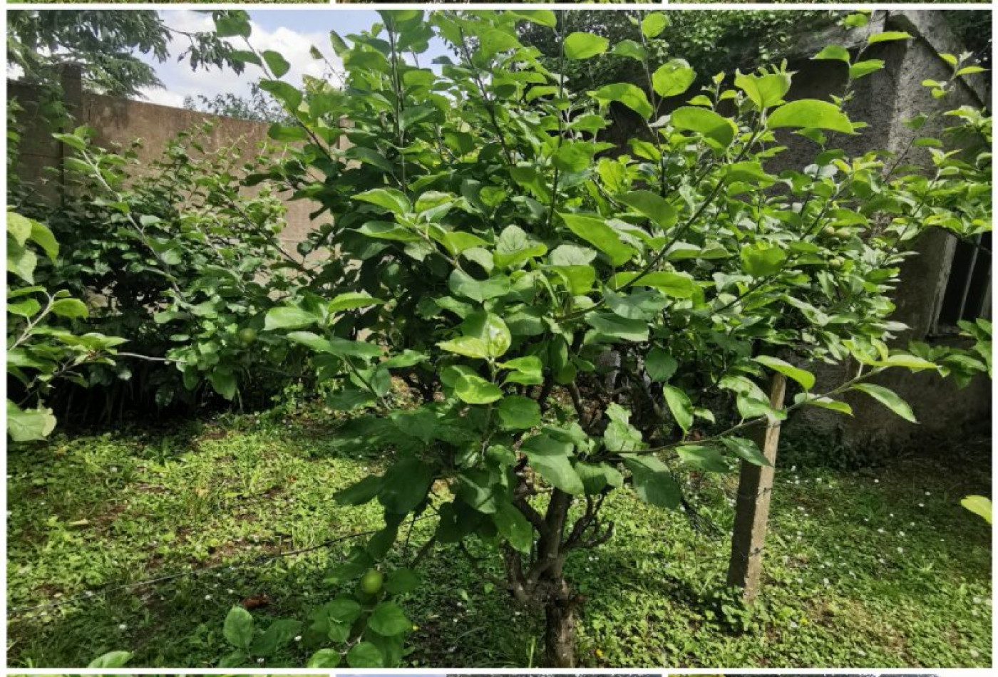 vente Maison Creteil - Photo 7