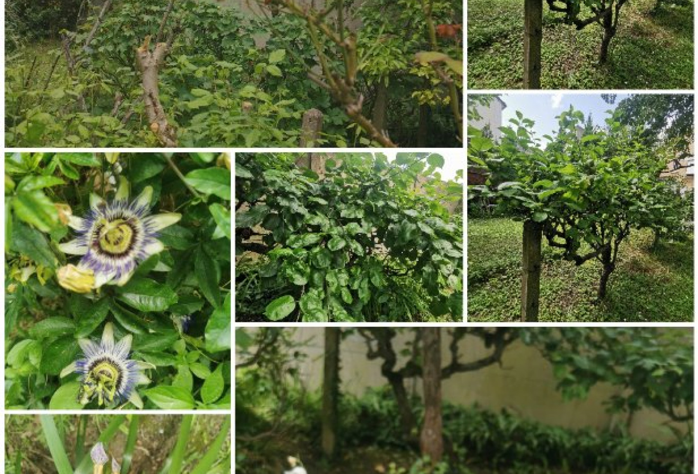 vente Maison Creteil - Photo 8