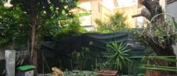 vente Maison Maisons Alfort