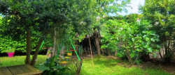 vente Maison Maisons Alfort