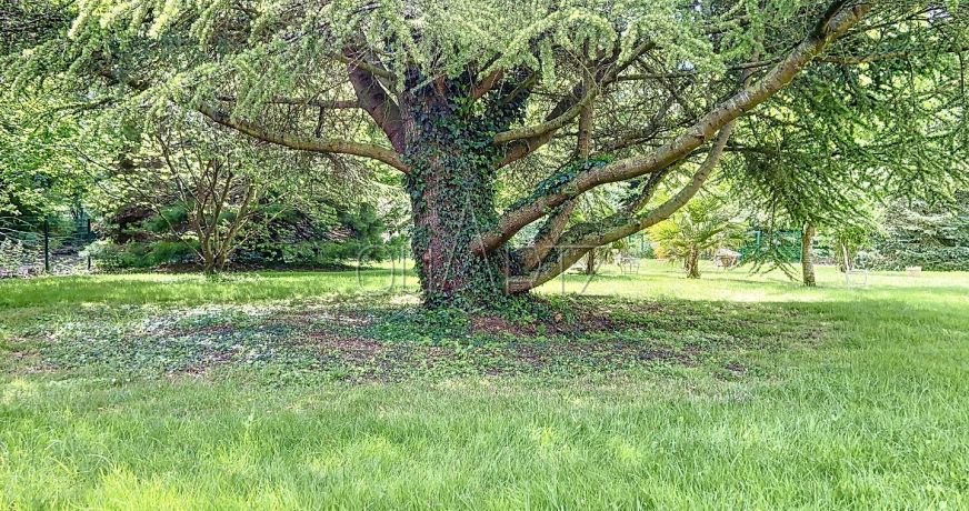 vente Manoir Nogent Le Roi