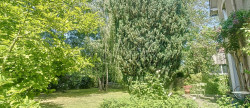 vente Maison Marines