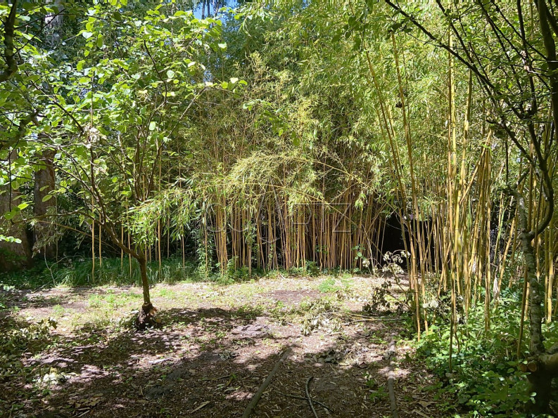 vente Maison de maître Anet - Photo 8