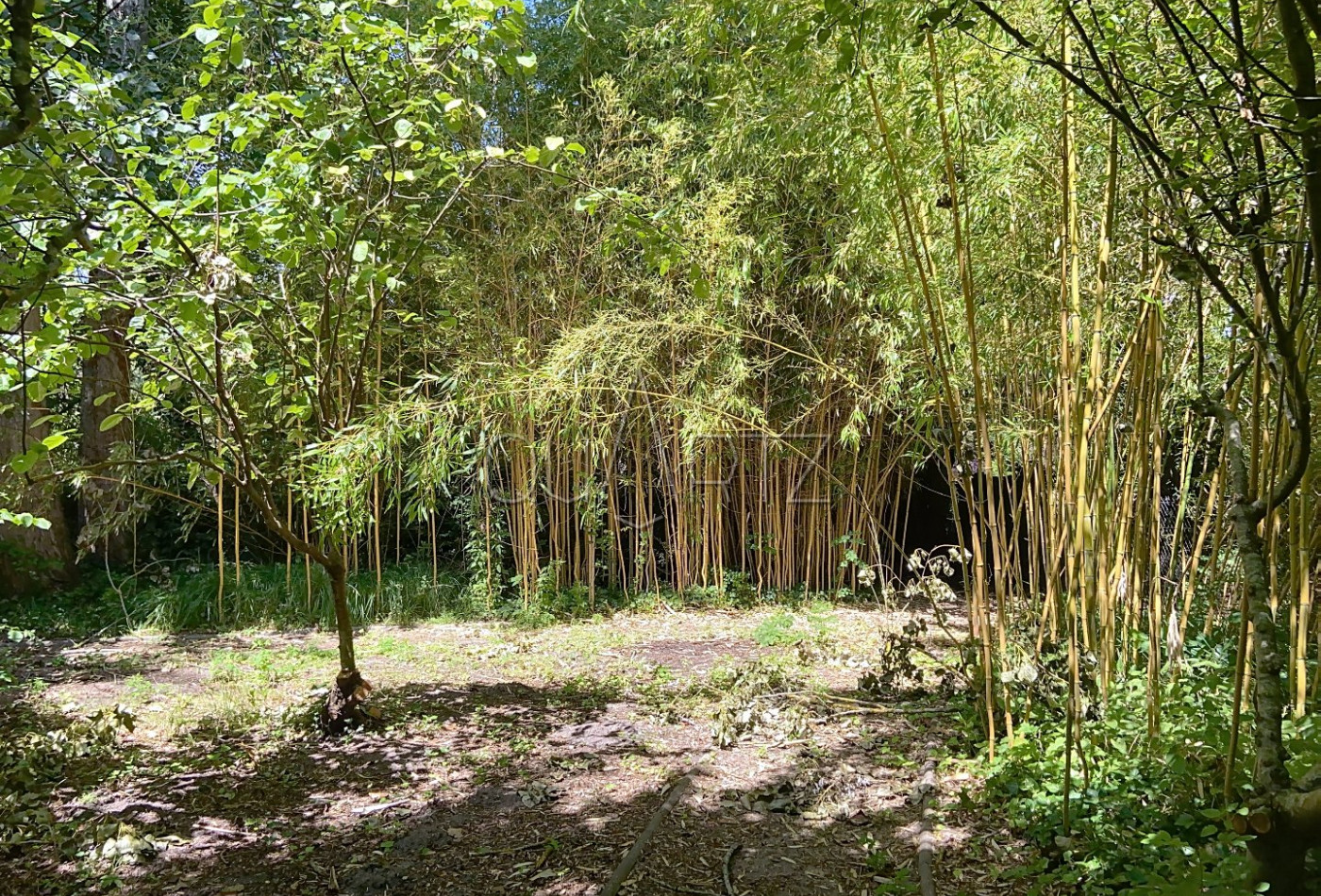 vente Maison de maître Anet - Photo 8