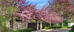 vente Maison Anet