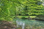 vente Manoir Anet