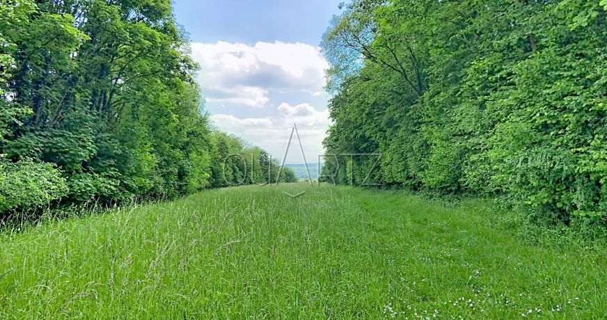 vente Maison Gisors