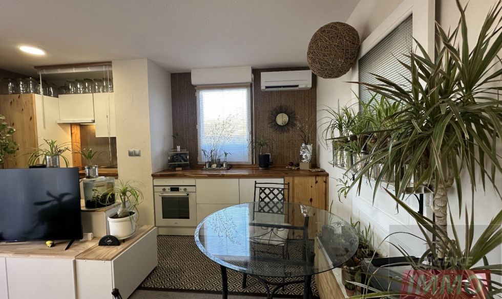 vente Lezignan Corbieres