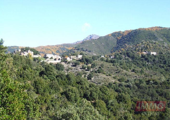 vente Appartement en rez de jardin Alando