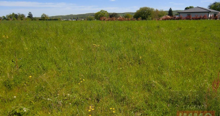 vente Terrain Masseube