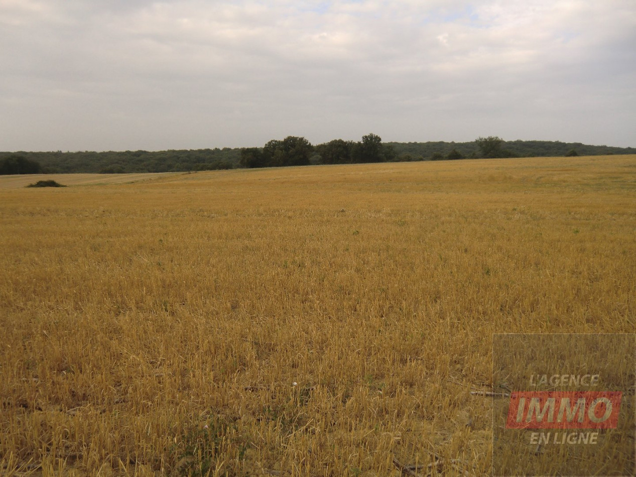 vente Terrain Sarcos - Photo 2