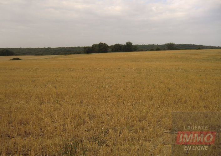 vente Terrain Sarcos