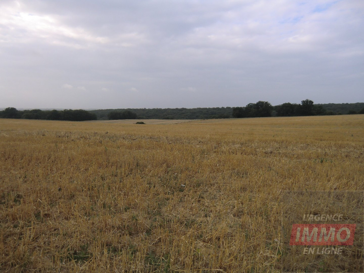 vente Terrain Sarcos - Photo 3