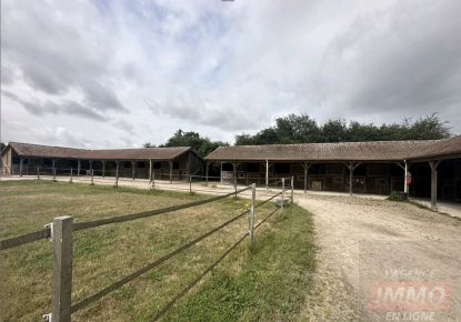 vente Haras / equestre La Mailleraye Sur Seine