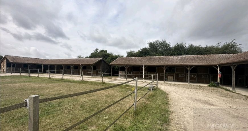 vente Haras / equestre La Mailleraye Sur Seine