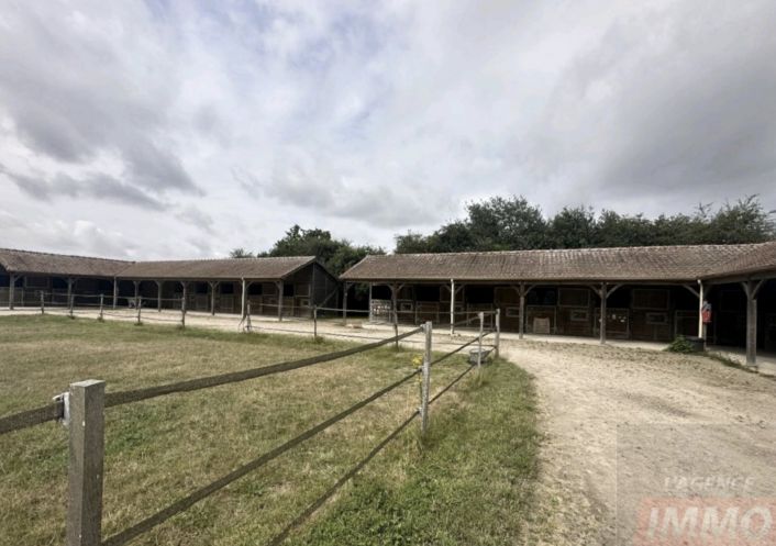 vente Haras / equestre Rouen