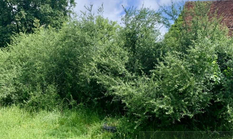 vente La Chatre Langlin