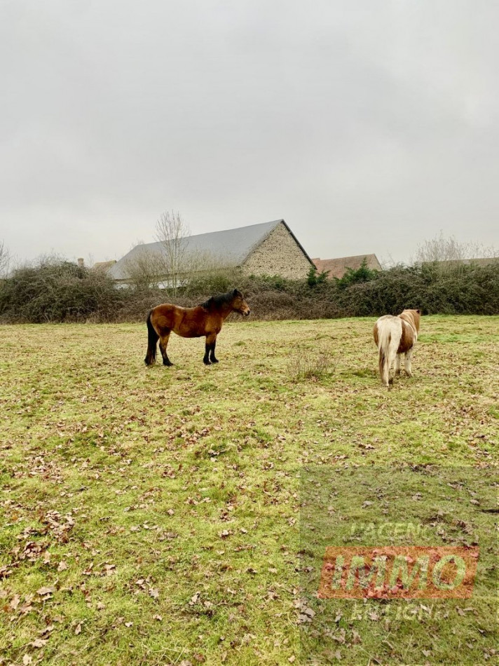 vente Corps de ferme La Chatre Langlin - Photo 4