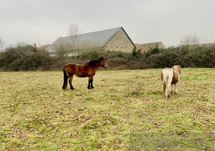 vente Corps de ferme La Chatre Langlin