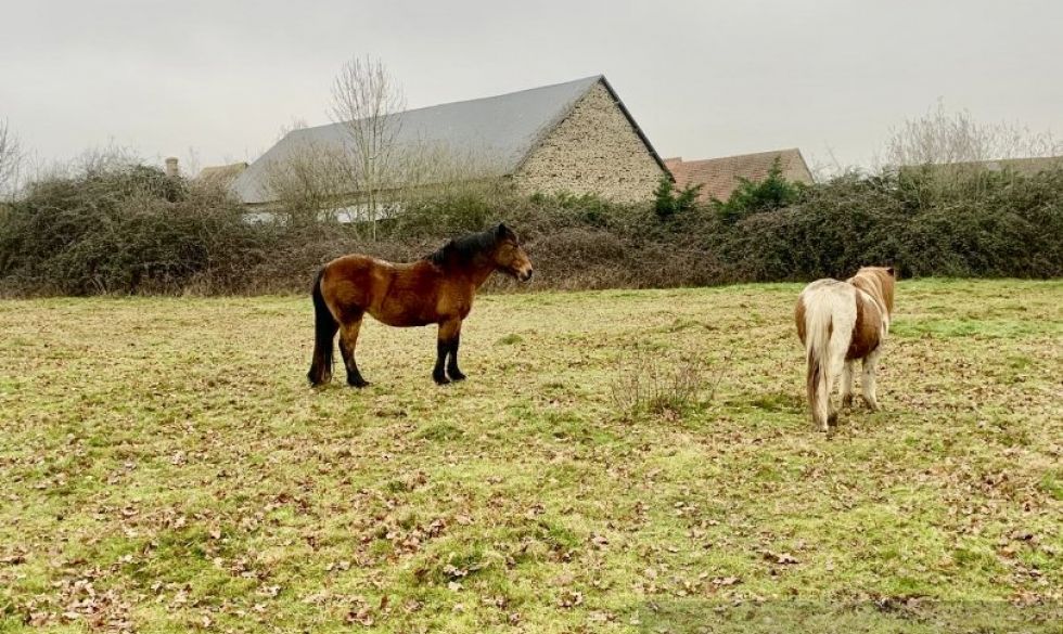 vente La Chatre Langlin