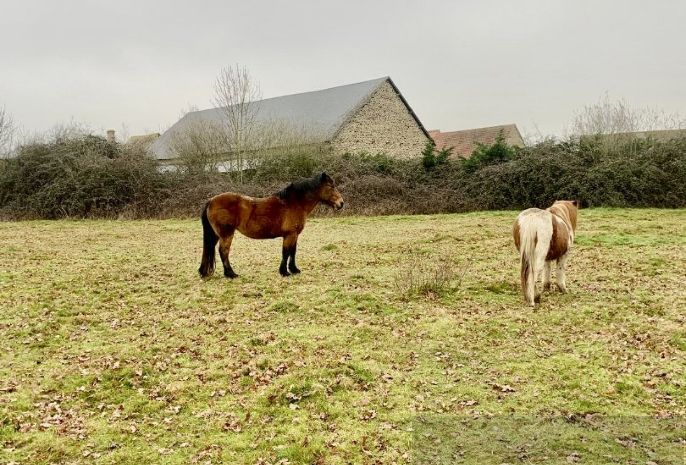 vente Corps de ferme La Chatre Langlin - Photo 4