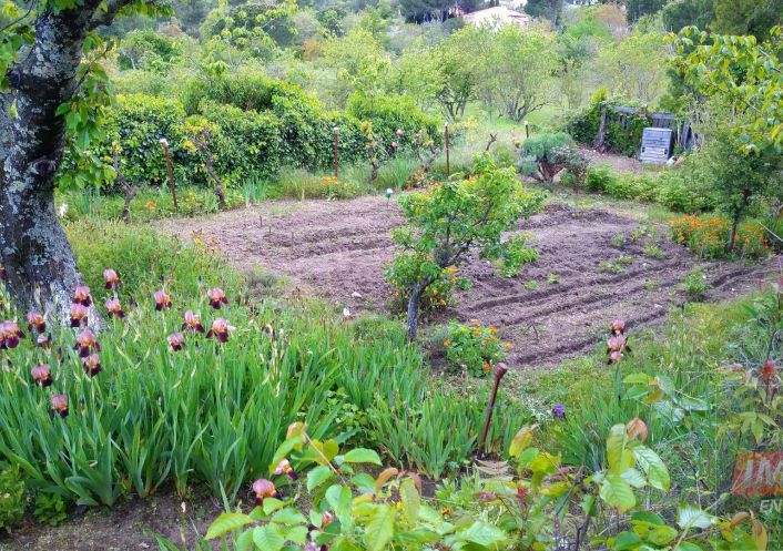 vente Maison Sournia