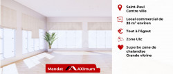 vente Local commercial Saint Paul