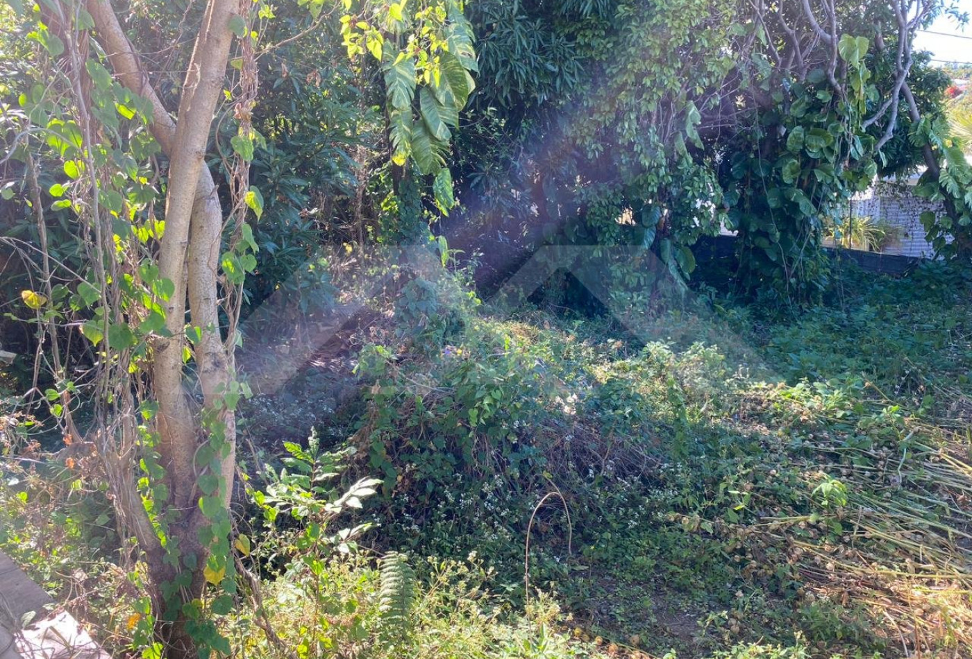 vente Terrain Le Tampon - Photo 2