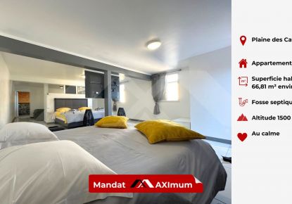 location Maison La Plaine Des Cafres