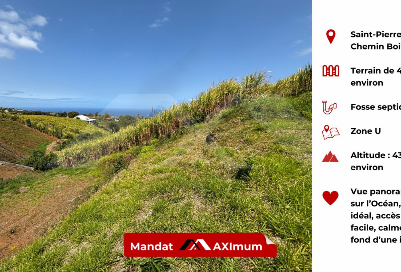 vente Terrain Saint Pierre - Photo 1