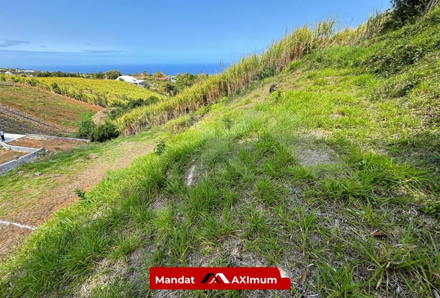 vente Terrain Saint Pierre - Photo 2