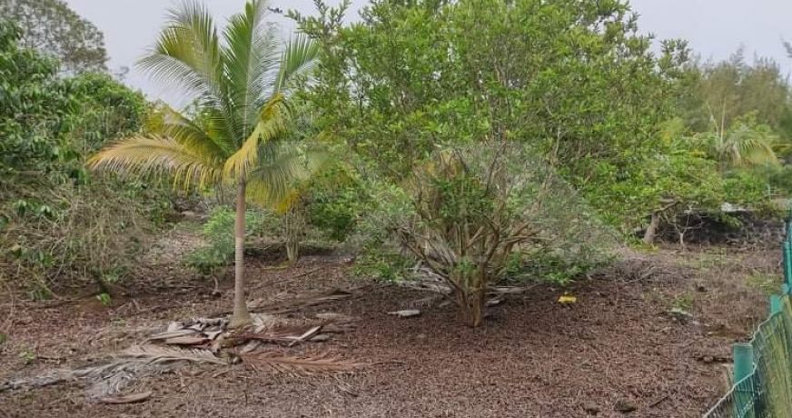 vente Maison Le Tampon